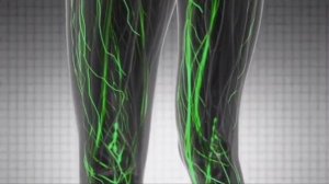 Секреты Тибета для здоровья и долголетия.