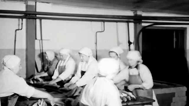 1967 год. Тюмень. Рыбозавод. Плотва холодного копчения
