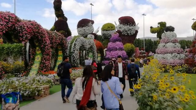 2019. Впечатления об африкано-арабской вылазке