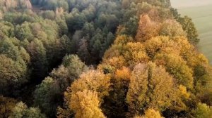 До 10 сентября - Черта, после которой пути назад нет.