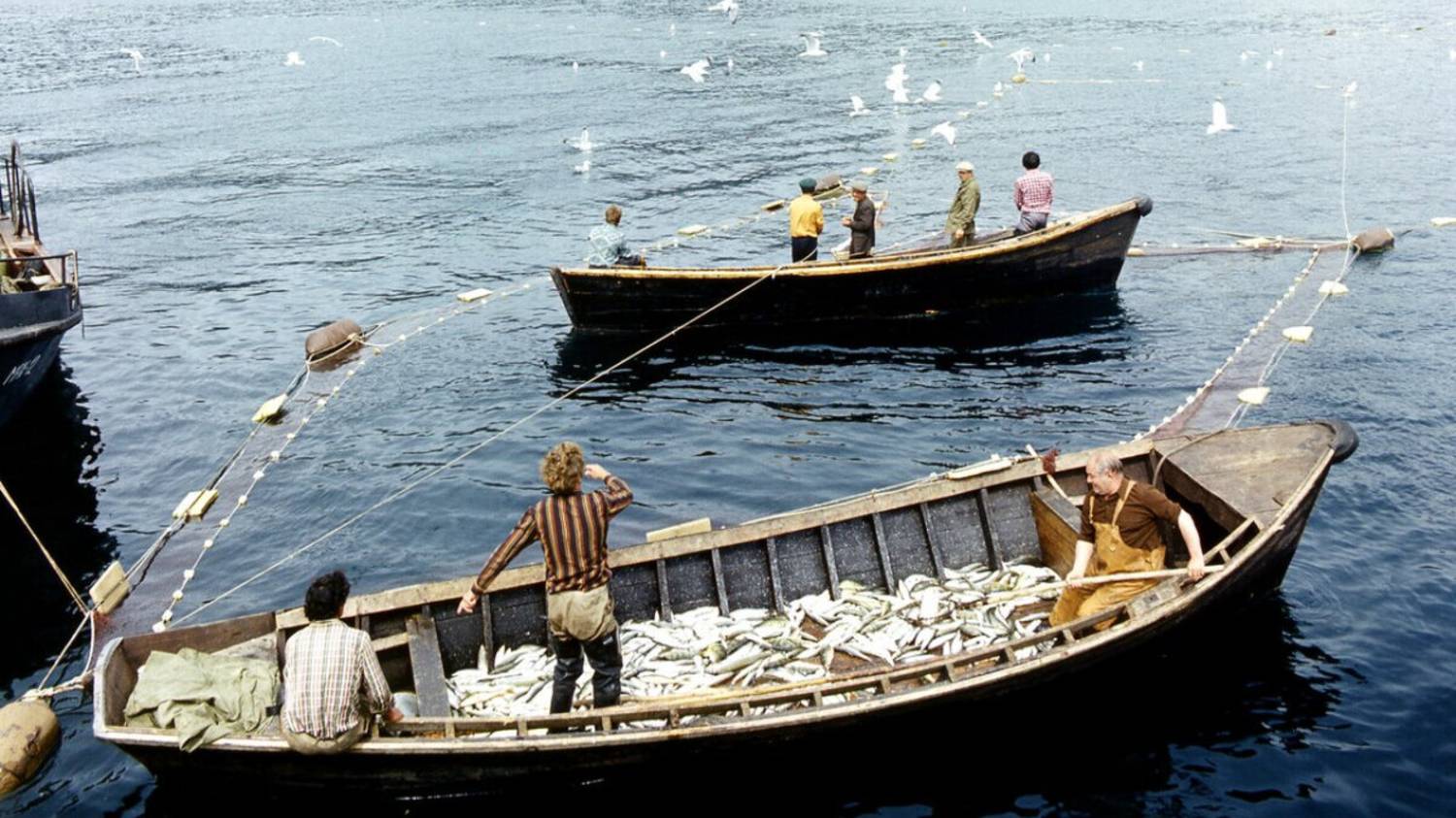 «Наше вам с кисточкой» смотреть онлайн