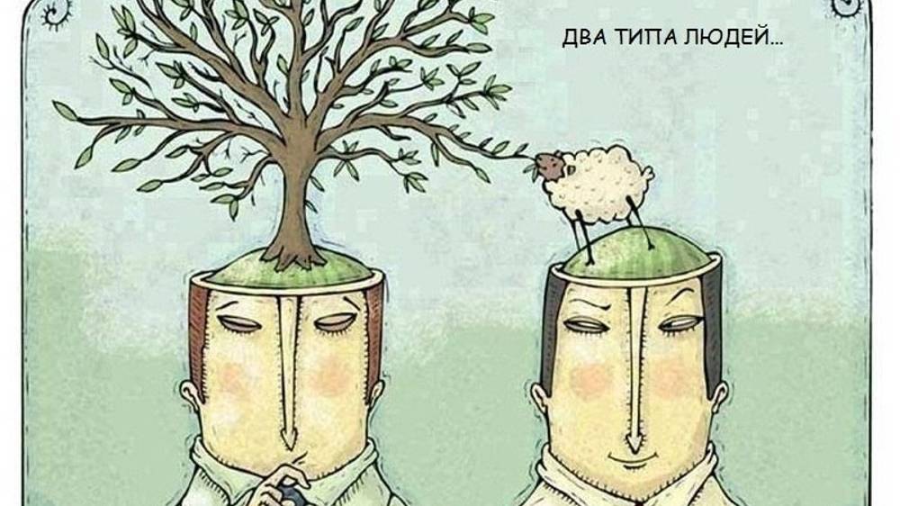 Для чего нужны типологии и какая от них польза? Эфир с Ириной Щербаковой