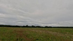 Бекас_190825
