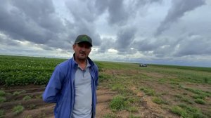 Картофельный Энтузиаст Қазақстанда  | Еркін Алмағамбетов, Agro Trade PV