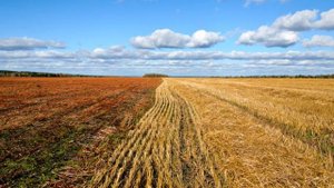 Л.Шепилова - Улетело лето