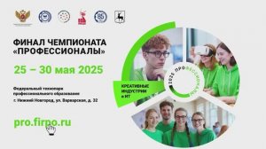 О старте финала чемпионаты Профессионалы в Нижнем-Новгороде (делегации)