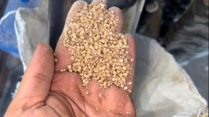 Электродвигатель В Подарок Пресс Гранулятор Комбикорма DR 200 inFermer Матрица 2,5 мм 200 кг в час