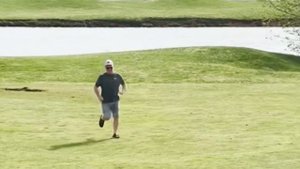 70 Случаев, Когда Животные Сорвали Спортивные Мероприятия