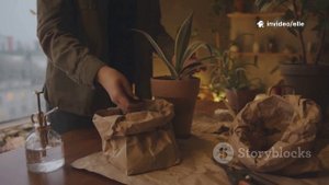 Комнатные цветы возвращаем после летних каникул в квартиру без потерь