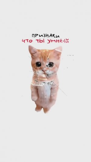 КИСЫ ОБЪЯСНЯЮТ / Признаки Что ты Умный / Кто такой Параноик? / Как работает Синдром Аспергера?