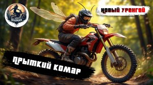 Открытая тренировка Прыткий комар