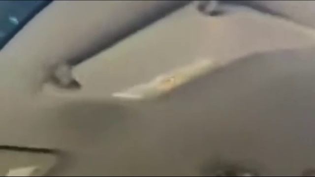 СМОТРЕТЬ СМЕШНЫЕ ВИДЕО ПРИКОЛЫ / СМЕШНЫЕ ПРИКОЛЫ / ЮМОРИСТИЧЕСКИЕ ВИДЕО / СМЕШНОЕ ВИДЕО