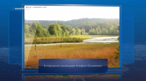 Агафон Огуменник. Календарь Губернии от 4 сентября