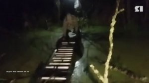 В Рыбинске прошла уникальная операция по спасению двух женщин