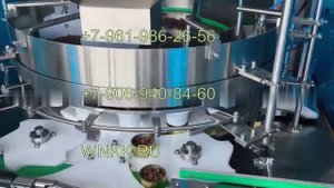 Линия по розливу и упаковке овощного рагу в железные банки FON-58