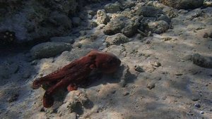 Ося и Скатик PC060159