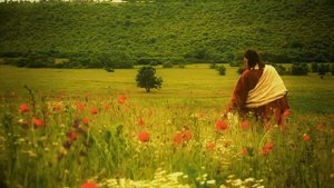 Не все сердца открыты: Почему одни видят Бога, а другие — нет