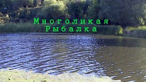 Щука на воблеры. Протока Чеускина.28.07.2025