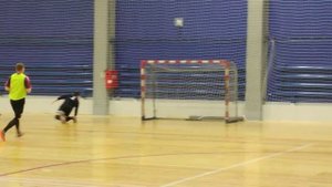 матч по мини-футболу между командами ЛФК Авангард и ЛФК ТитанТатарстан,Альметьевск