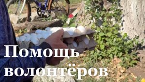 Народный Фронт передал партию куриных яиц в отдаленные поселки Северодонецка и Попасной