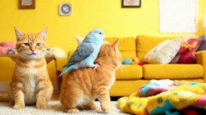Как кошачья семья спасла малыша-попугая и обрела друга! 🐱🦜❤️