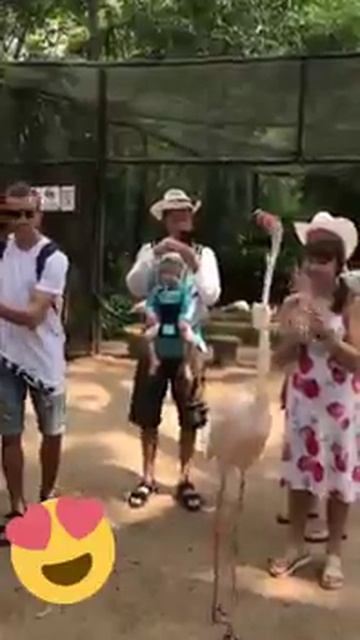 ПРИКОЛЬНЫЕ ВИДЕО ОНЛАЙН СМОТРЕТЬ ОНЛАЙН / СМЕШНЫЕ ВИДЕО ОНЛАЙН / НОВЫЕ ВИДЕО БЕСПЛАТНО