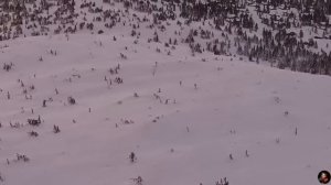 Кто-то шуршит. Страшные. Мистические. Творческие истории. Хоррор