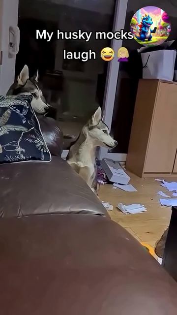 Смотри и наслаждайся смотреть онлайн