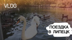 Поездка в ЛИПЕЦК, зоопарк, КВЕСТ С ЗАГАДКАМИ, день рождения СЫНА