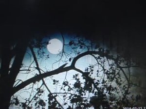 За окном таинственная осень. (на стихи Владимира Пяткова)