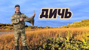 ВПЕЧАТЛЯЮЩАЯ ОХОТА НА РЯБЧИКОВ И УТОК!