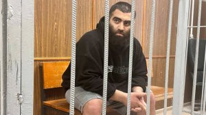 Маркарян заявил, что не прятался от полиции в багажнике во время задержания