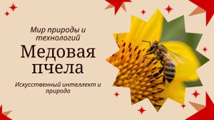 Медовая пчела