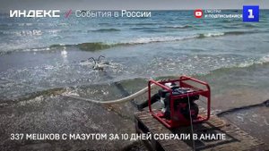 337 мешков с мазутом за 10 дней собрали в Анапе