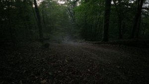 DJI_0089