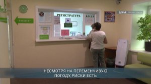 107 жителей Приангарья пострадали от укусов клещей за прошедшую неделю