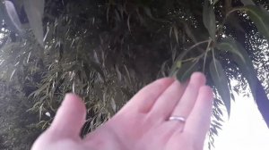 Покупки. Дом еды. Красивая пленка для кухни.