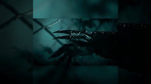 Predator (1987) | 4K EDIT | Untitled#13 #predator #edit #4kedit #dutch