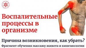Воспалительные процессы в организме. Причина возникновения, как убрать? Фрагмент обучения