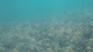 Чёрное море