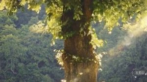 Слушать аудиокнигу рассказы бесплатно о жизни. Исповедь в письме...