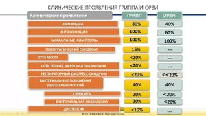 Грипп. На пороге эпидемического сезона