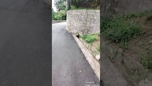 YY 1414824600 Путешествия