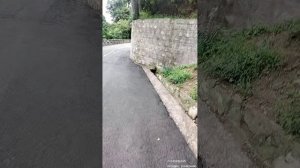 YY 1414824600 Путешествия