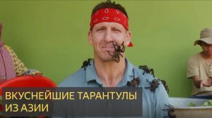 Поймайте и приготовьте тарантула!! 10 уровней поедания жуков в Азии!!