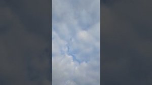 прилетел ястреб.