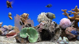 Aquarium Relax (LG Smart TV)