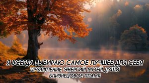 Я ВСЕГДА ВЫБИРАЮ САМОЕ ЛУЧШЕЕ ДЛЯ СЕБЯ, ПРОЯВЛЕНИЕ ЭНЕРГИЙ МОЕЙ ДУШИ, БЛИЗНЕЦОВОЕ ПЛАМЯ
