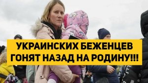 УКРАИНСКИХ БЕЖЕНЦЕВ ГОНЯТ НАЗАД НА РОДИНУ!!!