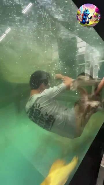 Смотри и наслаждайся смотреть онлайн